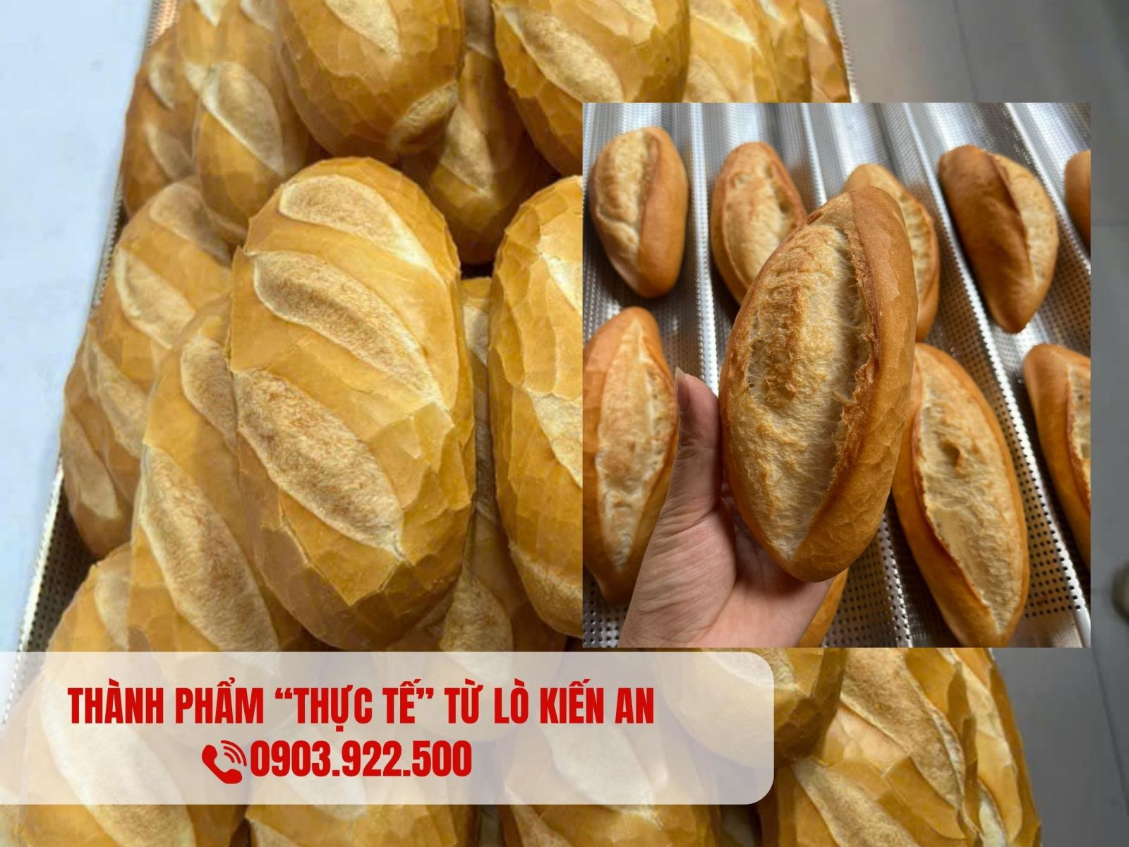 Thành phẩm thực tế từ lò nướng bánh mì kiến An